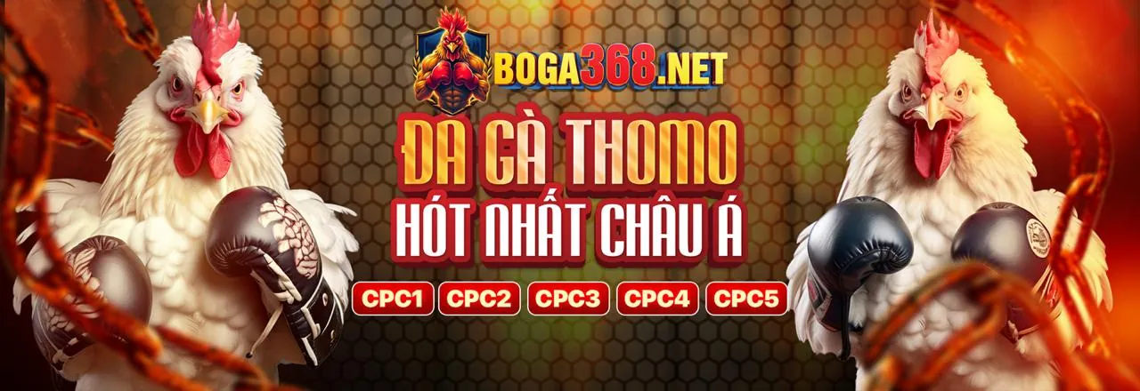 Liên hệ bộ phận hỗ trợ khách hàng của 911win casino